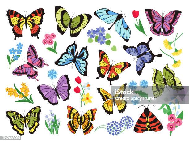 Colored Butterflies Hand Drawn Simple Collection Of Butterflies And Flowers Isolated On White Background Vector Graphic Collection Stock Illustration - Download Image Now