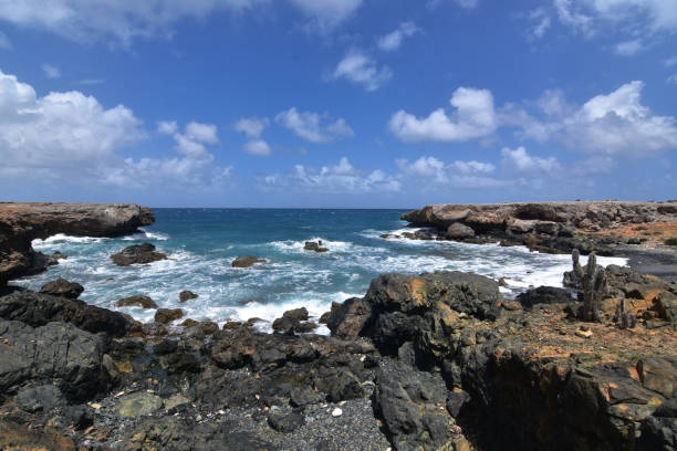 istock Stunning Black Sand Stone Beach in Aruba 1142664148