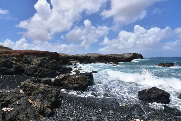 Rugged lava rocks lining the shore of Aruba's black stone beach.