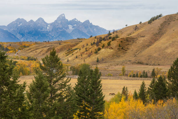 istock Scenic Autumn Landscape in the Tetons 1142664727
