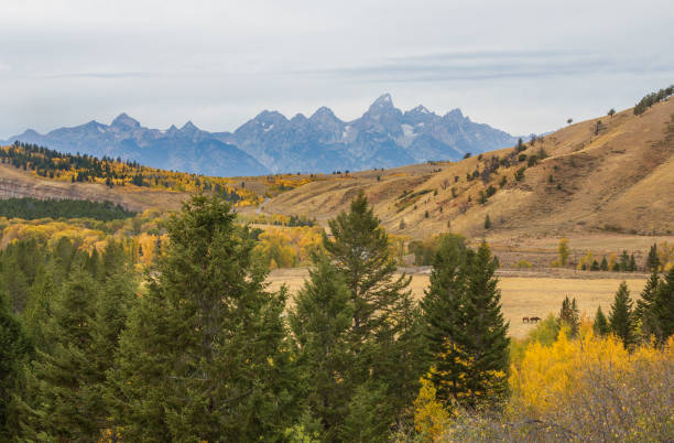 istock Scenic Autumn Landscape in the Tetons 1142665410