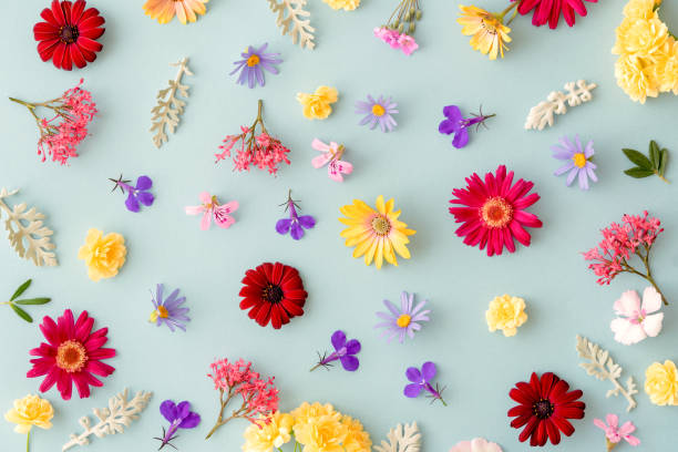 istock Floral pattern with spring flowers and leaves on blue background 1142667157