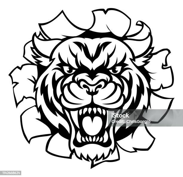 Tiger Background Breakthrough Stock Illustration - Download Image Now - Danger, Head, Anger