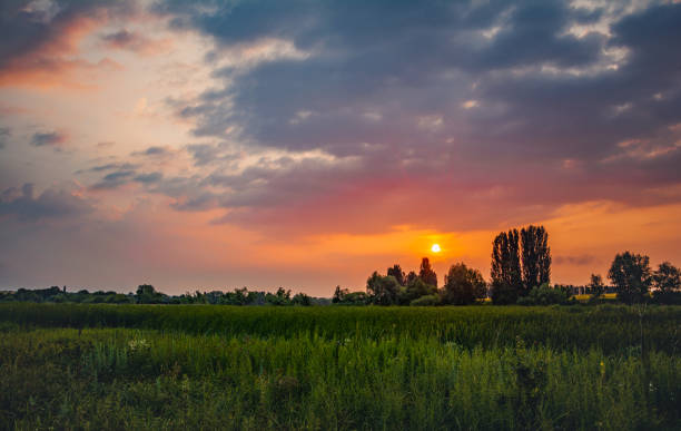 istock Fields landscape in summer sunset and sunrise 1142668760