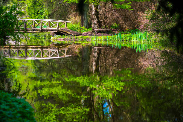 Rural scene in a public park in the middle of the capital Berlin, Germany, with a view to a bridge that is reflected in the water.