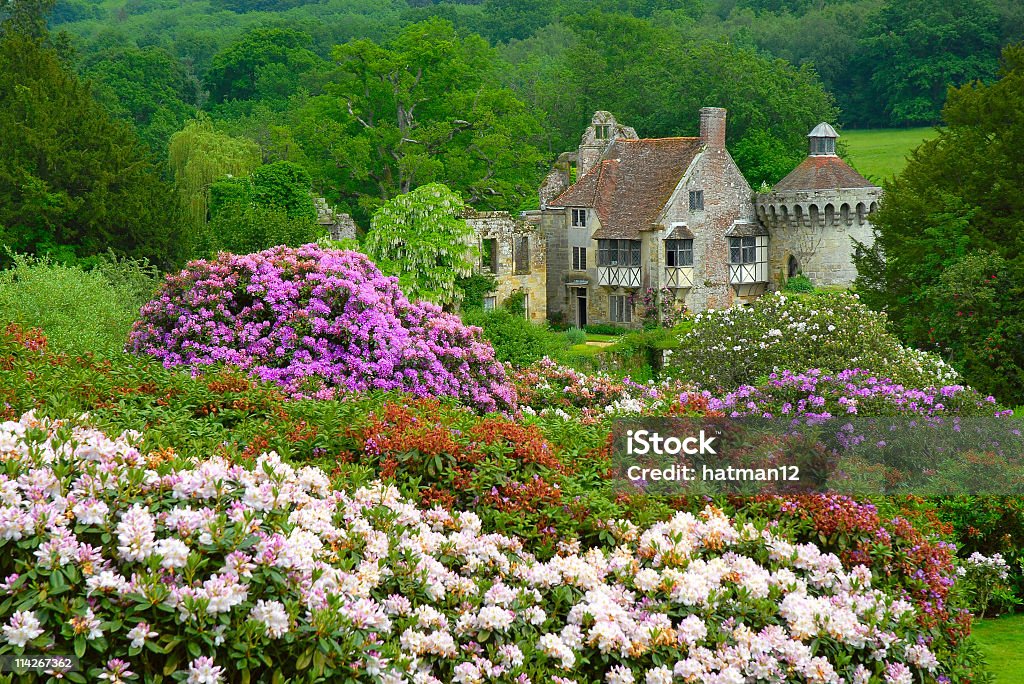 Castello di scena di campagna inglese - Foto stock royalty-free di Inghilterra