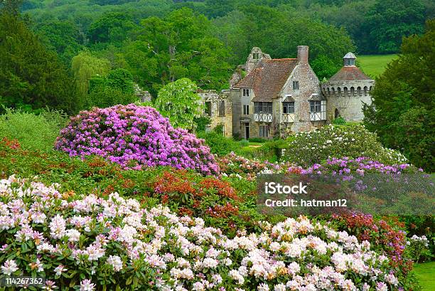 Castello Di Scena Di Campagna Inglese - Fotografie stock e altre immagini di Inghilterra - Inghilterra, Scotney Castle, Kent - Inghilterra