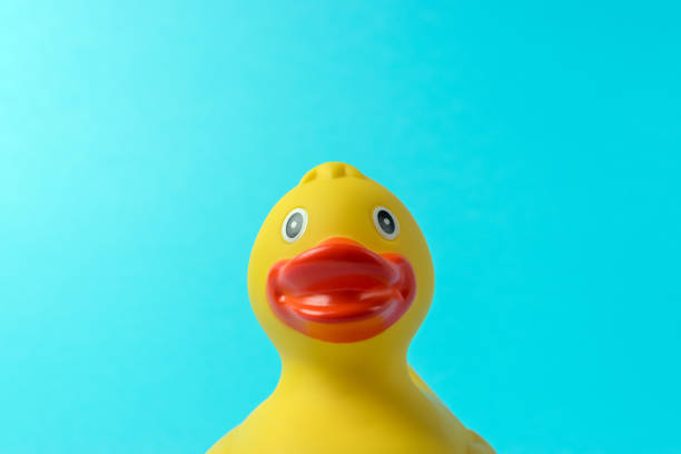 istock Yellow rubber duck on blue background. Summer minimal concept. 1142674572