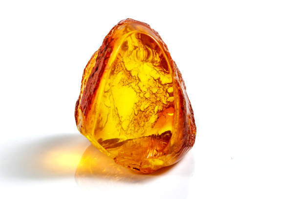 Macro pierre minérale ambre avec des insectes, des mouches et des coléoptères sur un fond blanc fermer