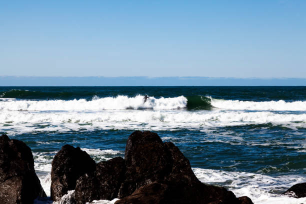 istock Northern California Rocks And Ocean Waves With Surfer 1142677652