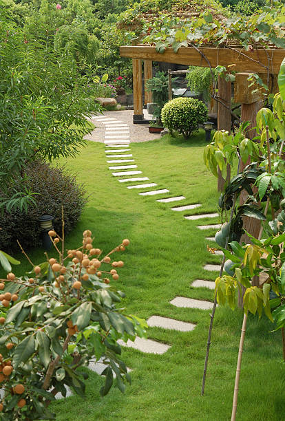 Narrow stone walkway through a lush, green garden