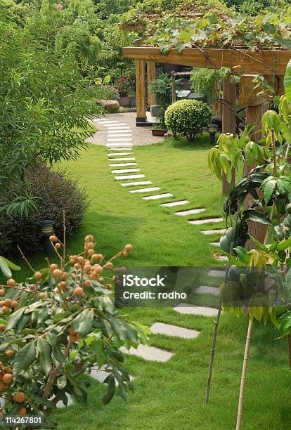 Narrow Stone Walkway Through A Lush Green Garden Stock Photo - Download Image Now - Landscaped, Yard - Grounds, Ornamental Garden