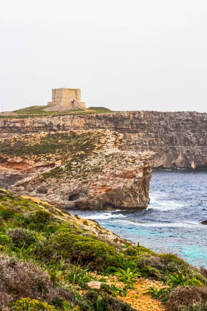 istock Comino Island coastline with the Comino Tower 1142678152