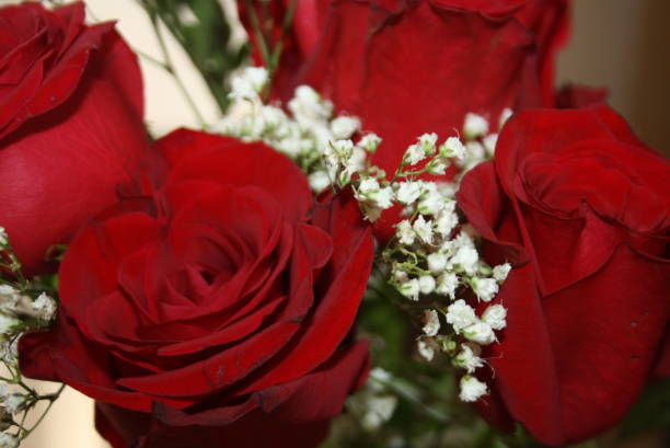 istock BOUQUET OF RED ROSES 1142679385