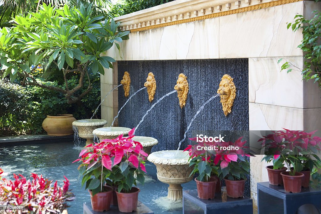 Jardim Ornamental - Foto de stock de Arbusto royalty-free