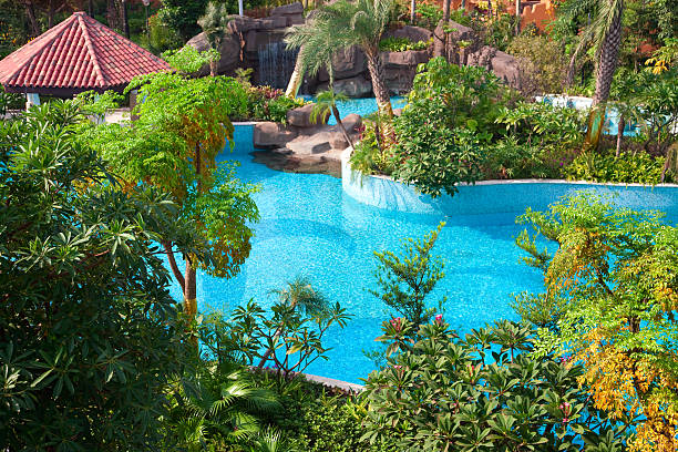 istock Swimming pool in garden 114268193
