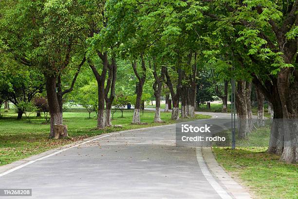 Foto de Country Estrada e mais fotos de stock de Arbusto - Arbusto, Avenida, Beleza