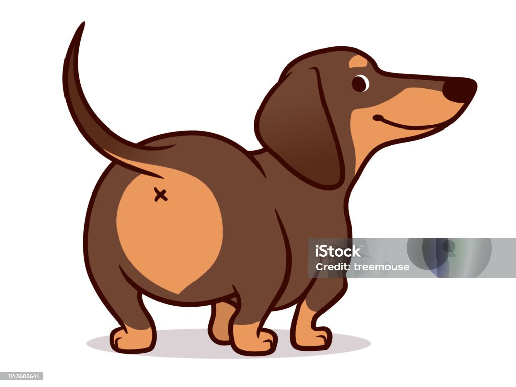 Ilustración de Hermosa Salchicha De Wiener Perro De Dibujos Animados Ilustración Aislada En Blanco Dibujo Simple De Chocolate Amigable Y Perrito Dachshund Tan Vista Trasera Gracioso Crafts Butt Amantes De Los Perros Ilustración de Hermosa Salchicha De Wiener Perro De Dibujos Animados Ilustración Aislada En Blanco Dibujo Simple De Chocolate Amigable Y Perrito Dachshund Tan Vista Trasera Gracioso Crafts Butt Amantes De Los Perros