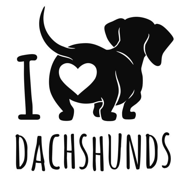 illustrations, cliparts, dessins animés et icônes de illustration de vecteur mignon teckel chien isolé sur fond blanc, «j’aime dachshunds» texte légende. simple silhouette noire wiener saucisse chien, vue arrière. butt doxie drôle, les amateurs de chien, animaux de compagnie, thème animal. - humor pets loving vertical