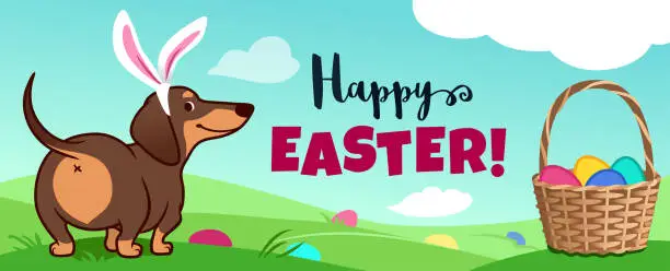 Vector illustration of Cute dachshund dog with Easter bunny ears sits in grass, basket full of candy eggs, eggs hidden in grass, vector cartoon illustration, text 