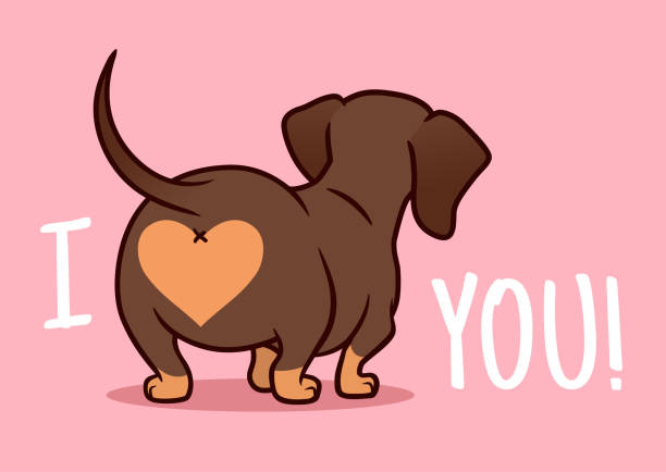 ilustrações, clipart, desenhos animados e ícones de corte a ilustração dos desenhos animados do cão de filhote de cachorro do dachshund isolada no fundo cor de rosa. engraçado "eu te amo" coração salsicha cão bumbum elemento de design para o dia dos namorados, animais de estimação, tema amantes do  - valentines day friendship puppy small