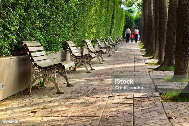 Photo libre de droit de Voie Piétonne Et Banc Dans La Matinée banque d'images et plus d'images libres de droit de Adulte - Adulte, Arbre, Banc