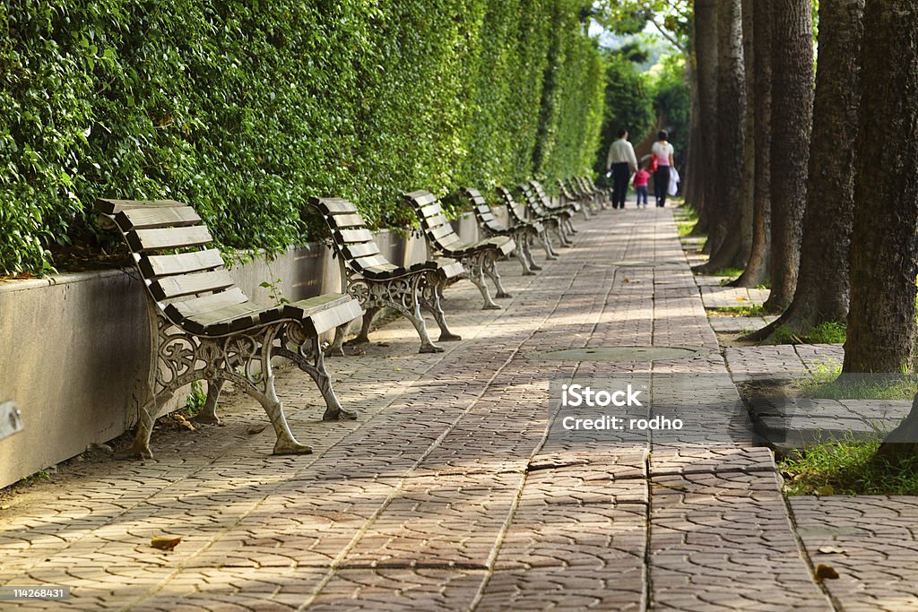 Sentiero e park bench al mattino - Foto stock royalty-free di Adulto