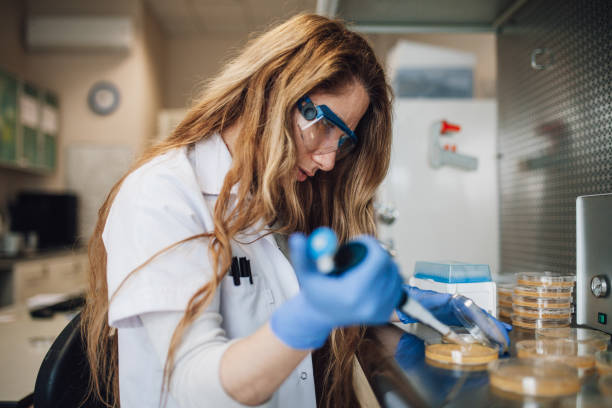 biology research scientist working in lab Petri dish for medical research laboratory bacterium petri dish cell stock pictures, royalty-free photos & images