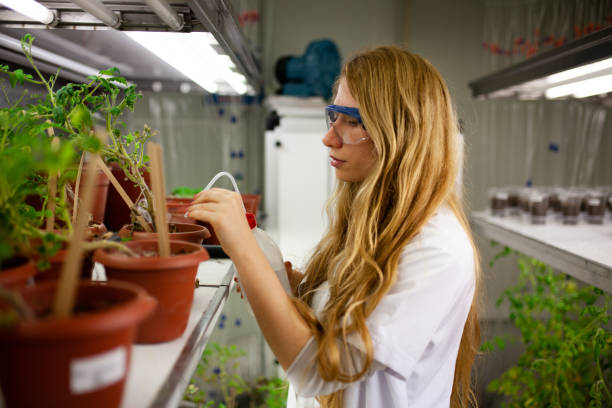 Female biologist testing growth at laboratory