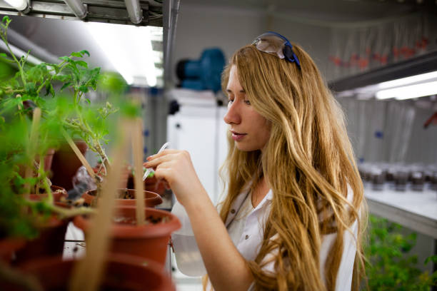 istock Female biologist testing growth at laboratory 1142685112