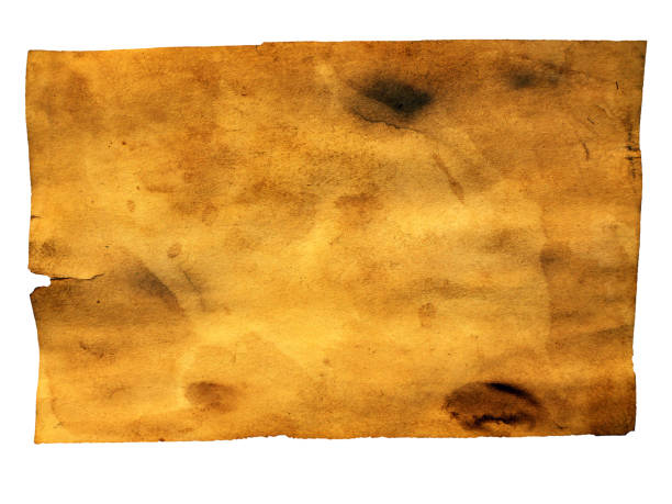 istock Grunge paper, vintage background 1142685213