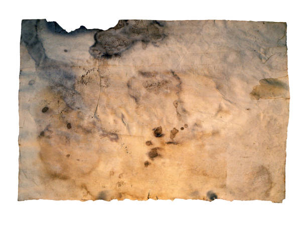 istock Grunge paper, vintage background 1142685380