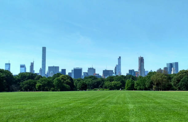istock Skyscrapers in New York. View from greeny Central Park 1142686146