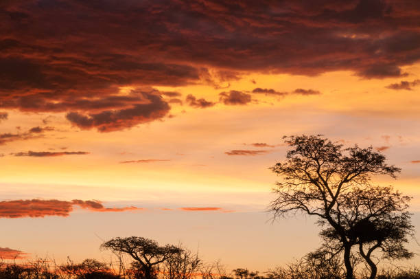 istock Sunset near Windhoek, Africa 1142686251
