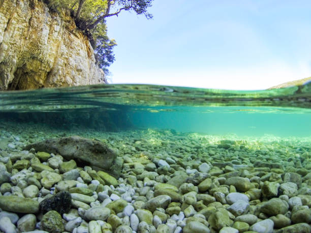 istock Split view of the under sea and sky ( under and above water ) 1142686339
