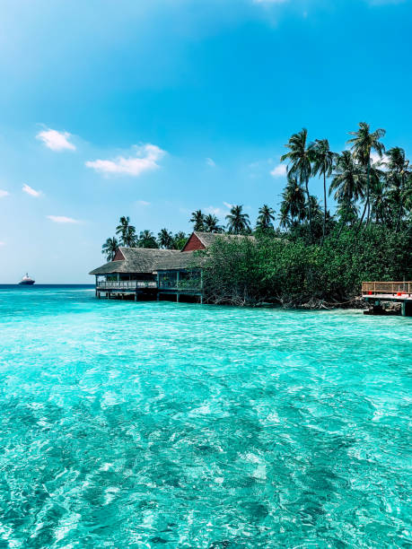 paradiso sulla terra. acqua azzurra dell'oceano indiano e una villa al suo interno con profonde palme verdi intorno e cielo blu chiaro. - travel luxury aerial view beach foto e immagini stock