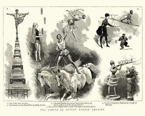 Vintage engraving Circus performers at Covent Garden Theatre, Victorian, 19th Century, 1886. Arab acrobat, Mdlle Gisella on the Slack wire, performers on barebacked horses, Fraulein Eichlerette and her troupe of monkeys. Miss Jennie O'Brian fires a rifle with pigeons