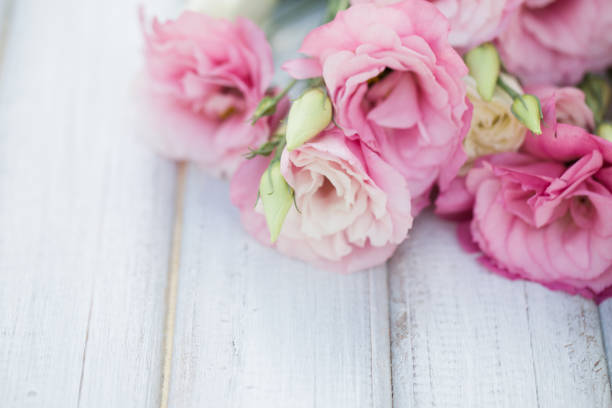 istock Fresh pink flowers frame on wooden background 1142689681