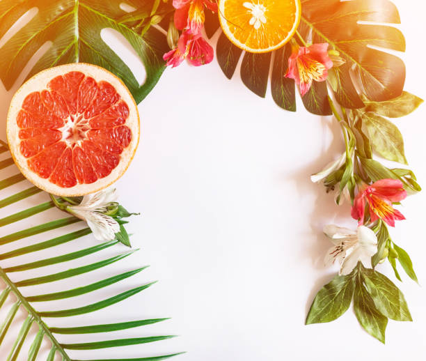 istock Summer tropical theme background or template with a space for a text, various fruits, green leaves and flowers 1142691469