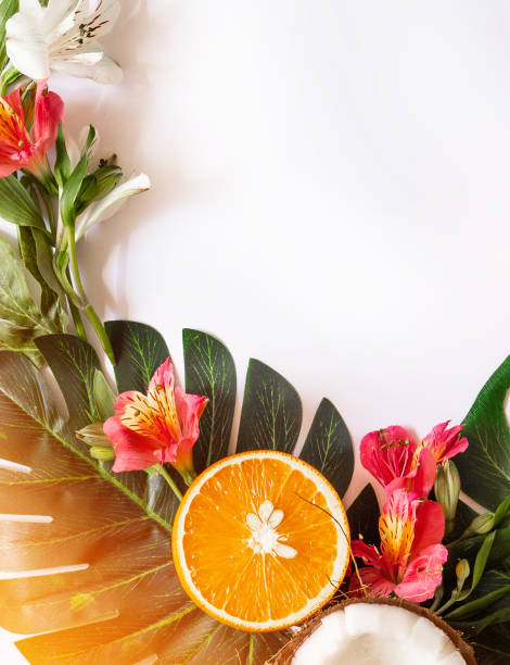 istock Summer tropical theme background or template with a space for a text, various fruits, green leaves and flowers 1142691524