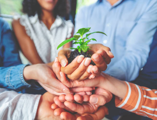 istock Growth concept. Group holding a seedling plant. 1142691557
