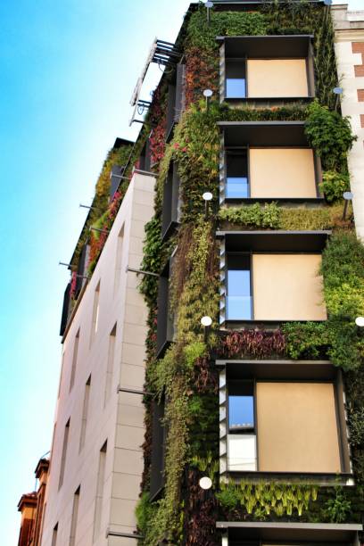 istock Modern facade with vertical garden in Madrid 1142691753