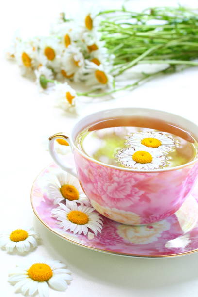 istock Herbal tea from chamomile. Useful fortified drink. Medicinal chamomile flower. Fragrant hot broth. 1142691941