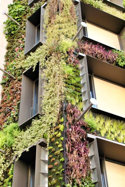 istock Modern facade with vertical garden in Madrid 1142691969