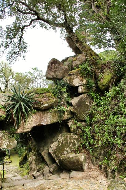 istock Stone arch with rocks in a Leafy garden in Sintra 1142693282