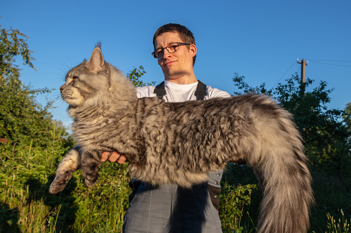 A man wearing glasses and overalls is holding a huge, gray Maine Coon cat. Cat color black silver mackerel tabby ns 23. Outdoors green grass and trees, blue sky, the sun is shining.