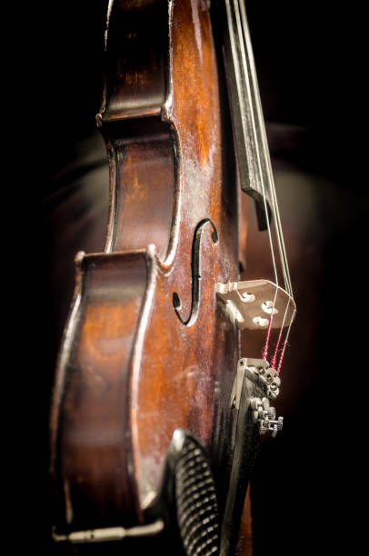 istock Old violin in vintage style on a black background 1142694187