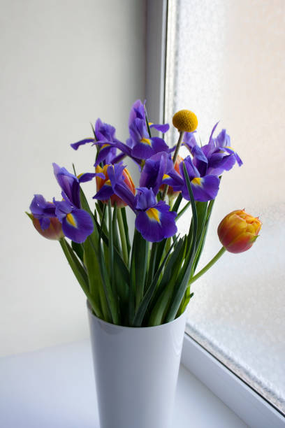 istock Spring flowers bouquet in glass white vase 1142695788