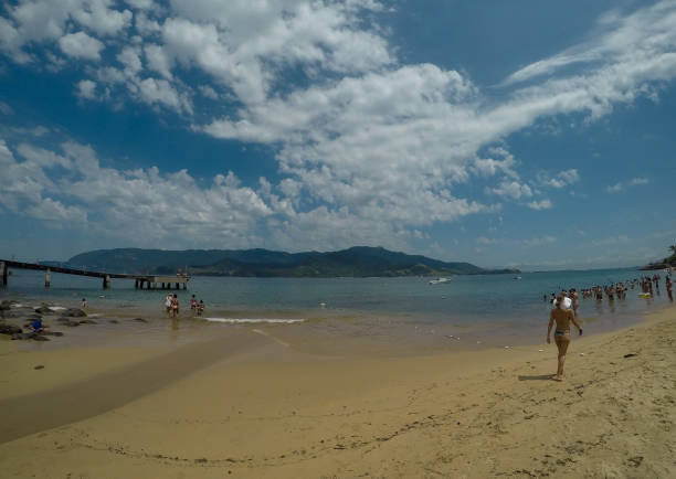 feriado da praia - tree large group of people sand sunbathing - fotografias e filmes do acervo