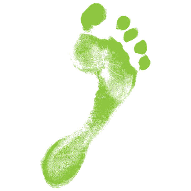 istock Environmental footprint icon. Vector foot print eco sign on white background. 1142699099